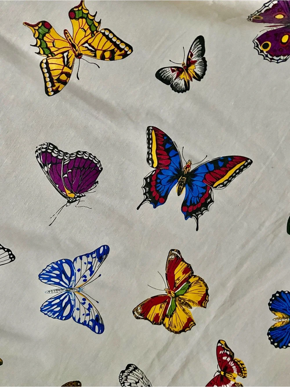 Botanical Butterfly Cream Cloth Tablecloth 55” X 84”